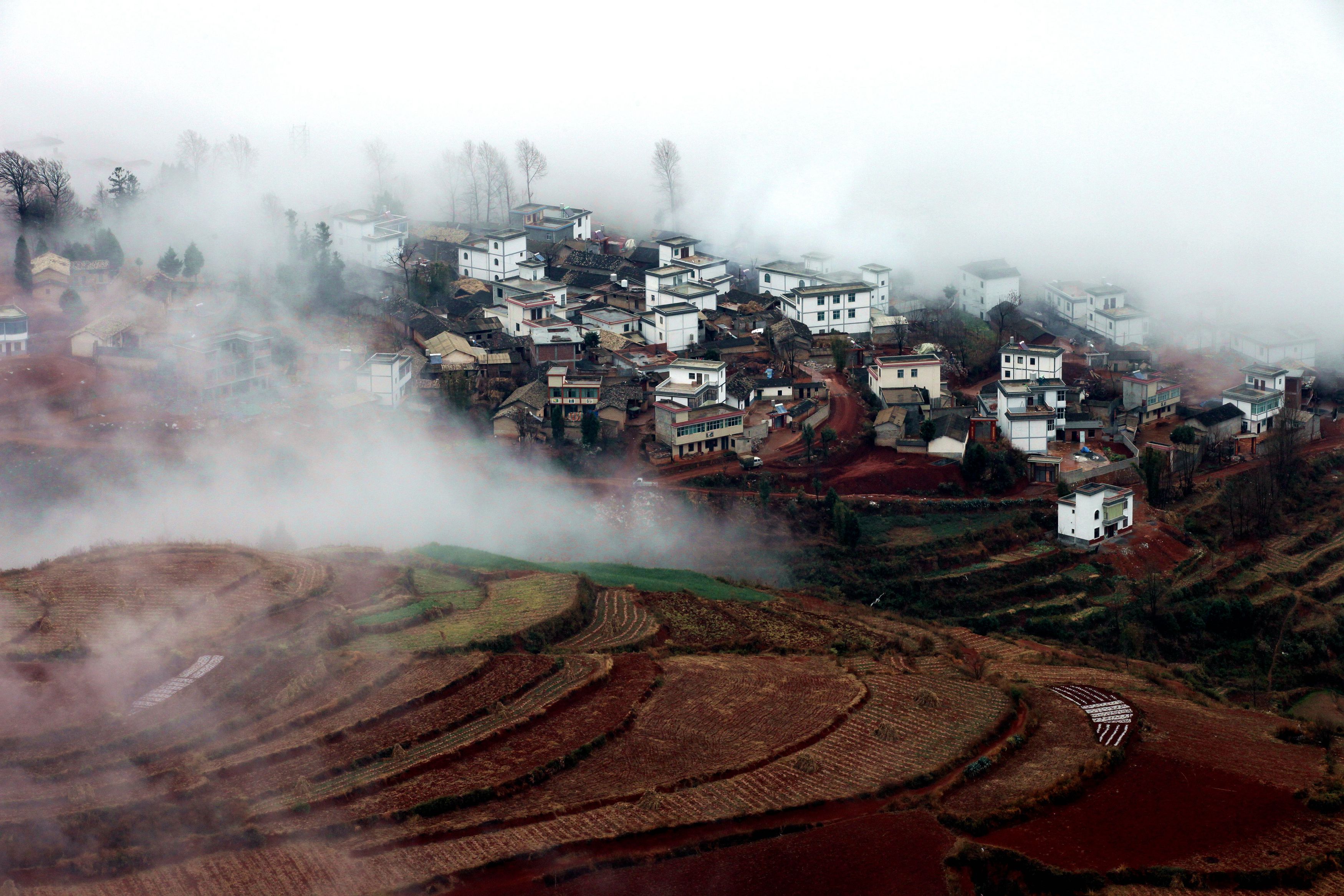 东川红土地顾彩芳.JPG