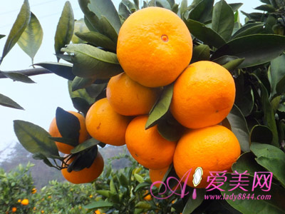 咳嗽时吃橘子?错!吃橘子皮才是止咳正道